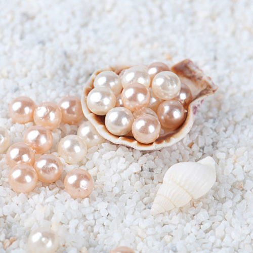Perlen in einer Muschel