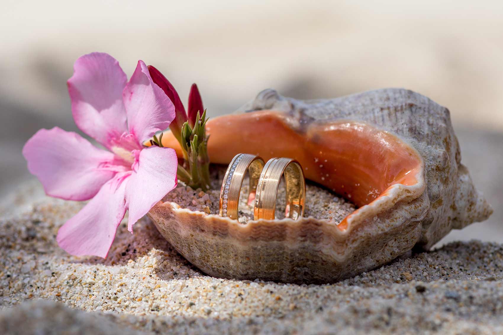 Trauringe in einer Muschel