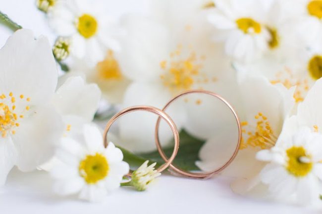 wedding rings on a white background. Festive Engagement Jewelry Set Kupfer Trauringe vor weißen Blumen